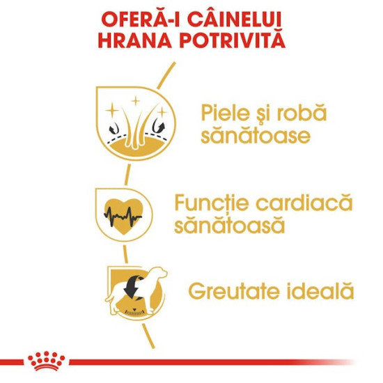 Royal Canin Golden Retriever Adult – Hrană Uscată pentru Câini Adulți din Rasa Golden Retriever – 12 kg